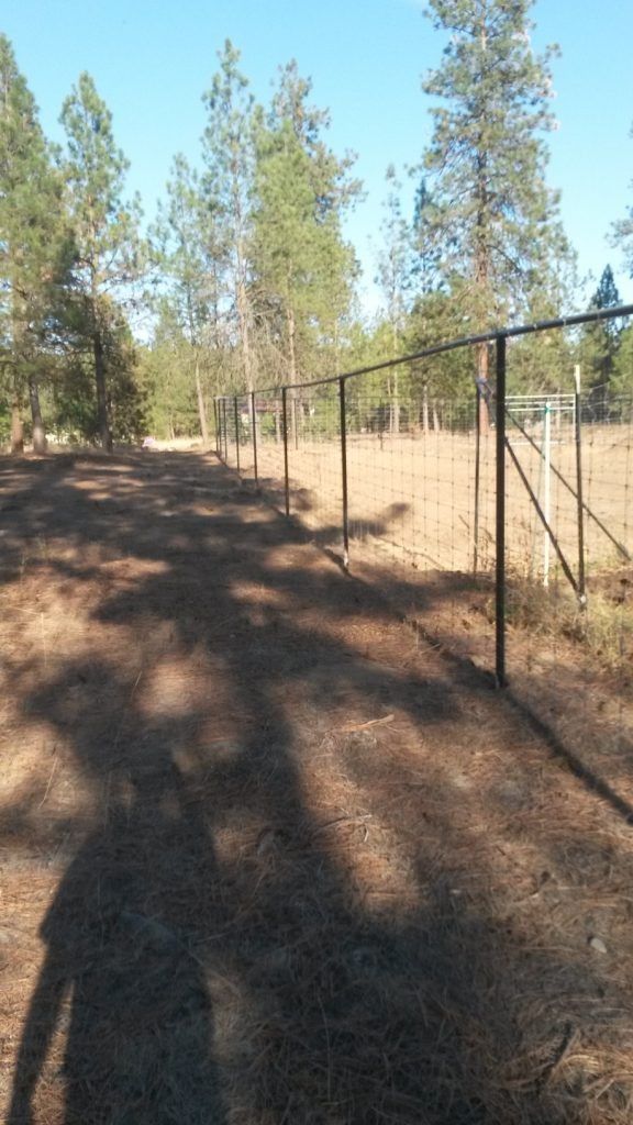 A chain link fence surrounds a dirt road with trees in the background.