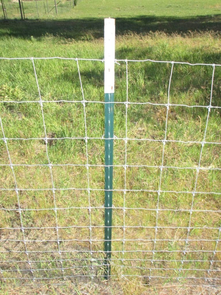 A fence with a green post in the middle of a grassy field.