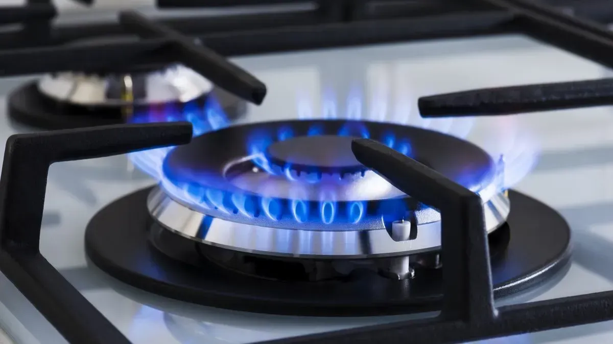 A gas appliance on the Sunshine Coast
