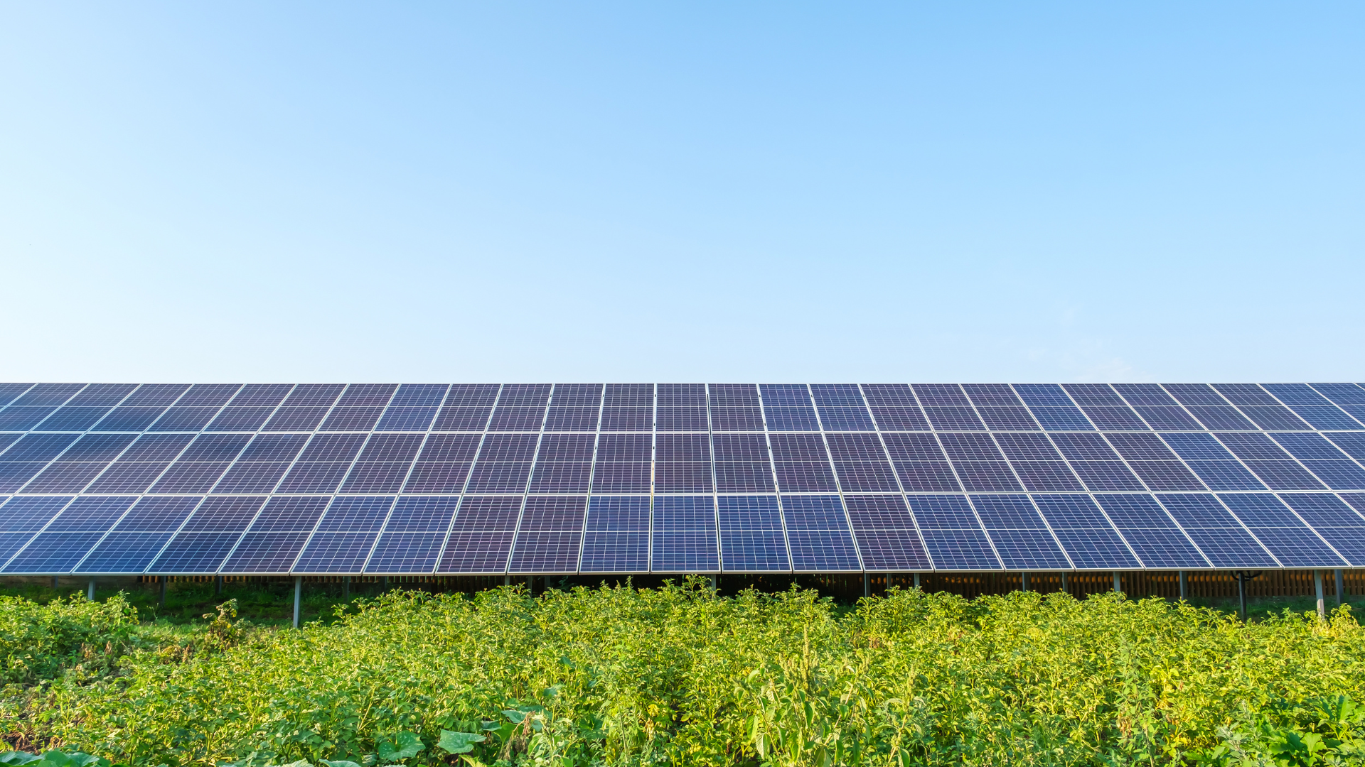 solar crm india, solar crm, solar panel