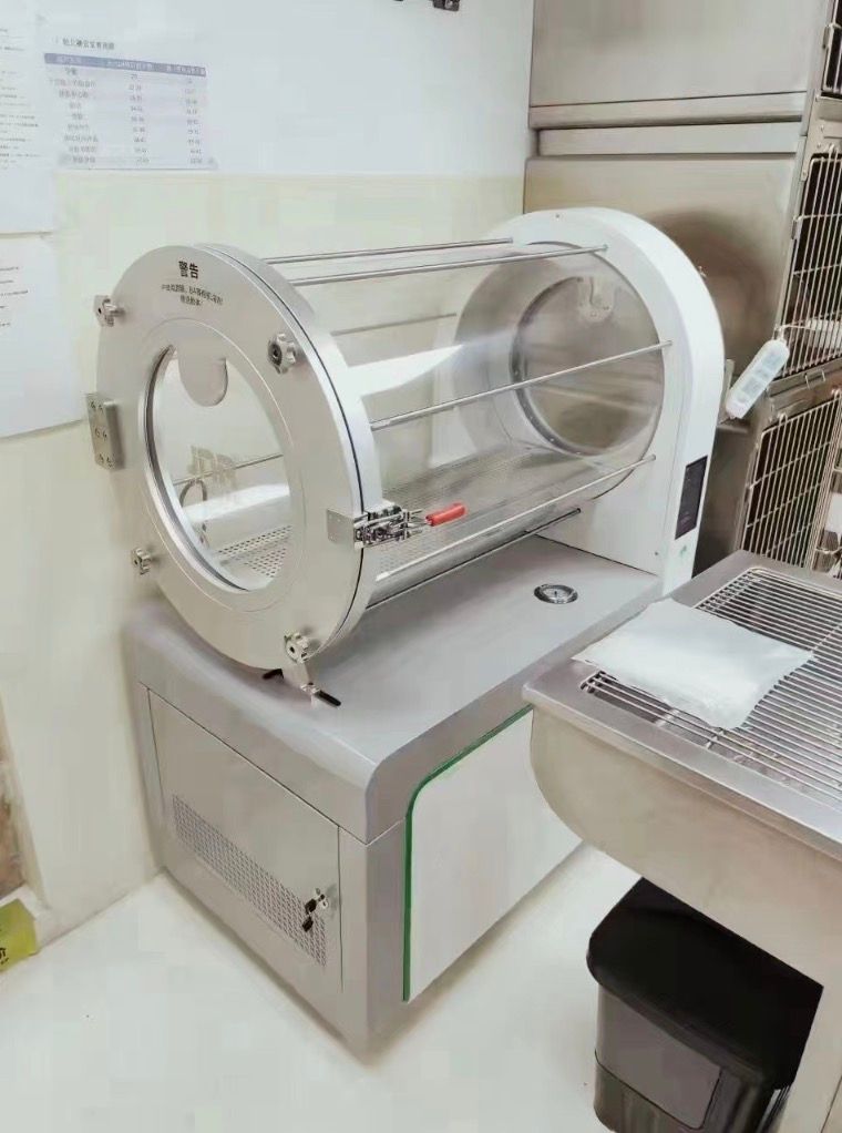 Inside the animal hyperbaric chamber