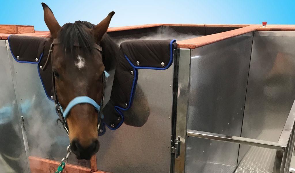 Horse cryosauna