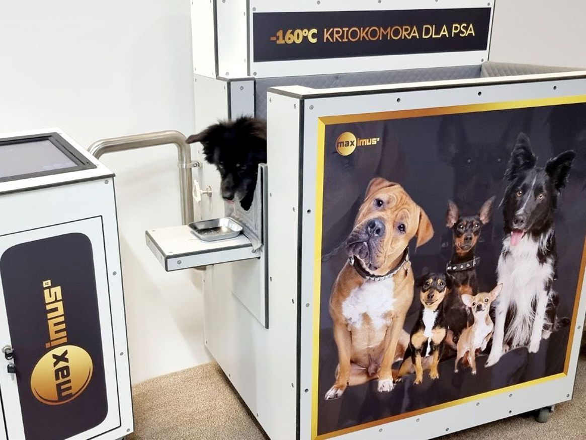 Cryochamber for dogs Brochure