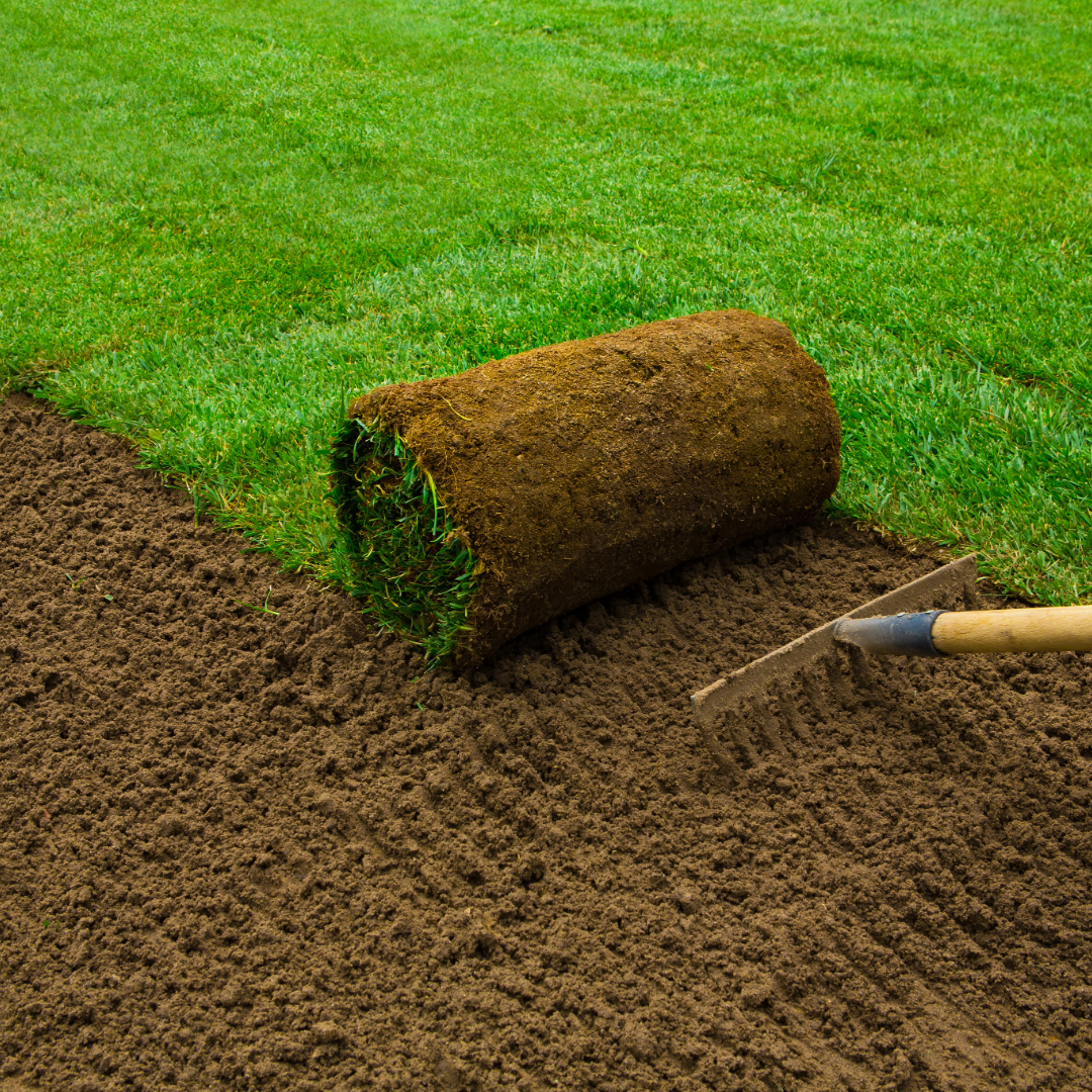 A roll of sod is sitting on top of a pile of dirt next to a rake.