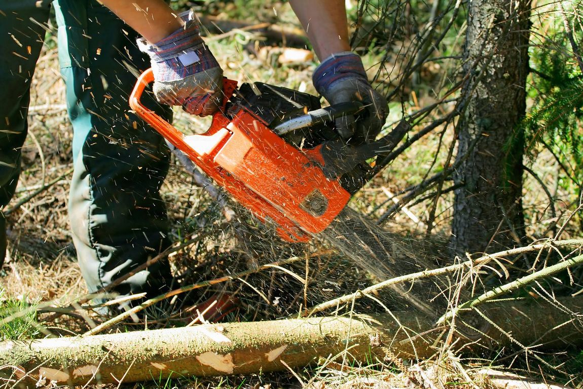stump grinding clarksville tn 