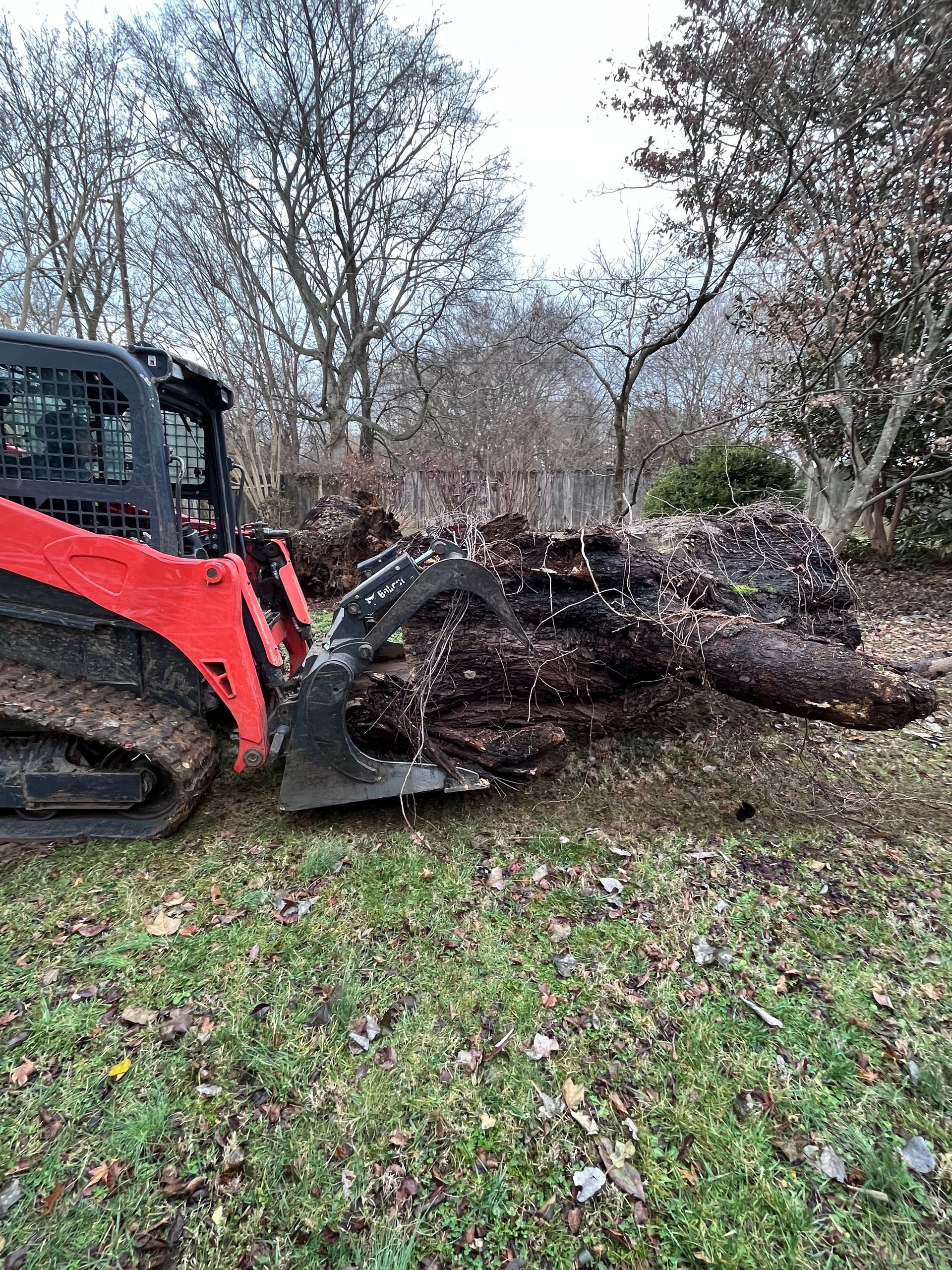 land clearing in clarksville, tn