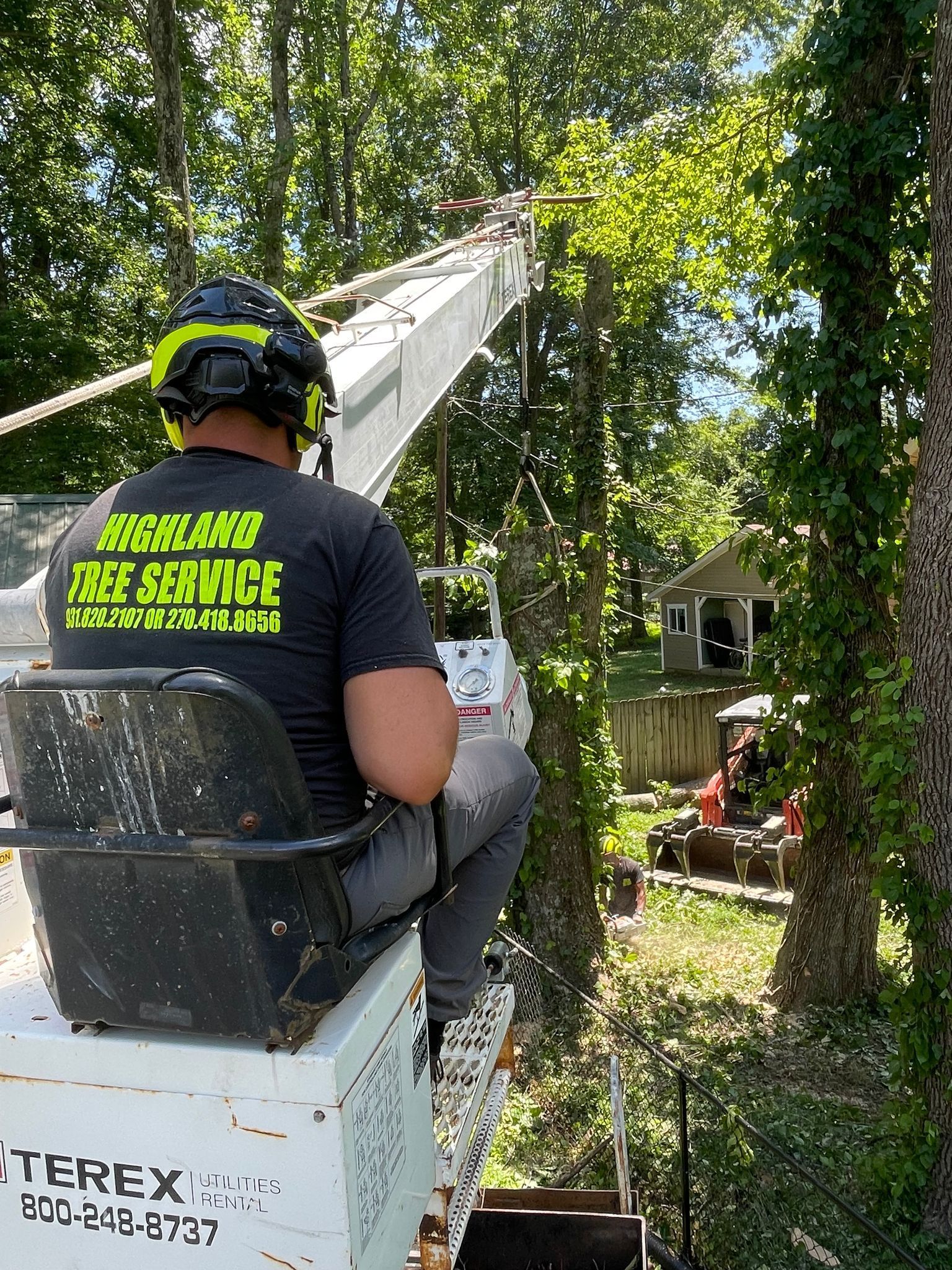 tree services clarksville tn