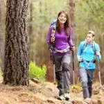 Two hikers with backpacks walking on a forest trail, one wearing purple and one blue.