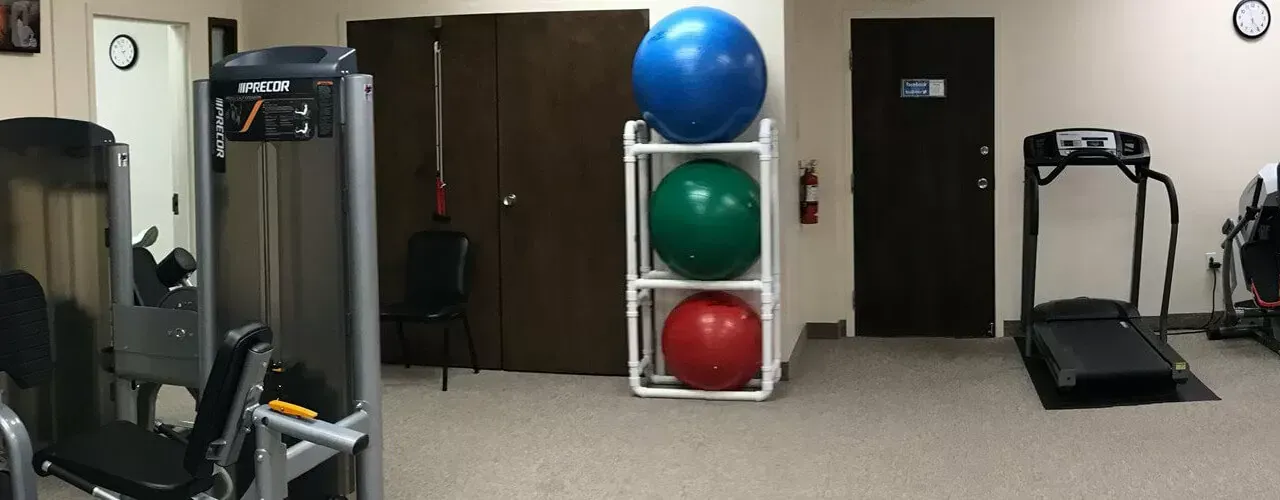 Gym room with exercise machines, treadmill, and a rack of blue, green, and red stability balls.