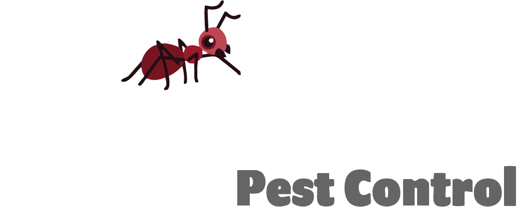 Red ant above the text 