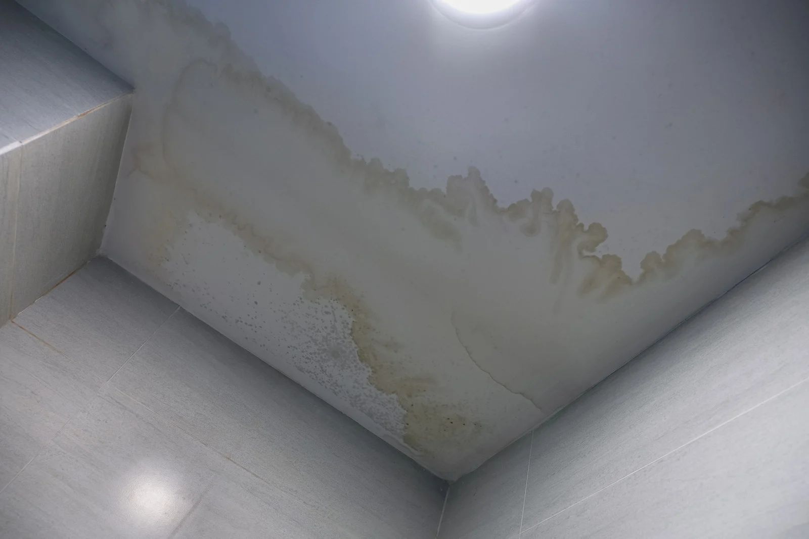 Water-stained ceiling corner with peeling paint and damp discoloration.