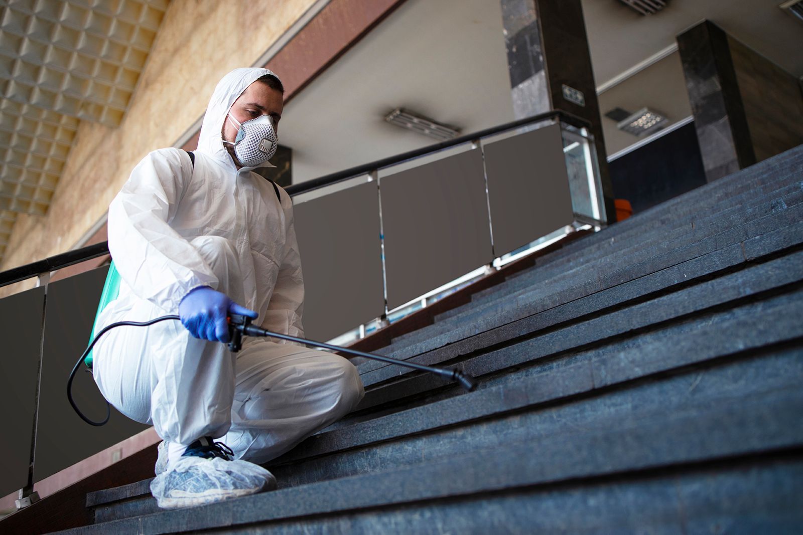 Fumigación y control de plagas en Tijuana