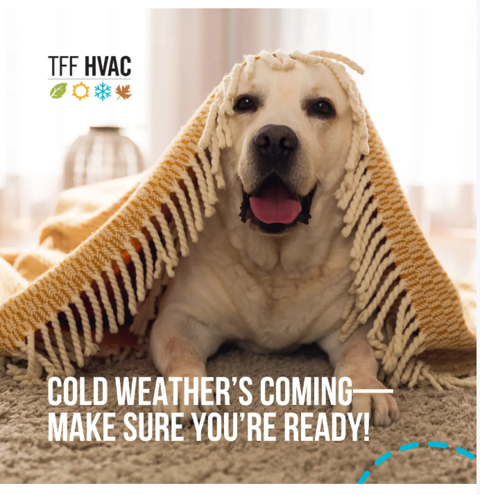 A dog laying under a blanket with the words