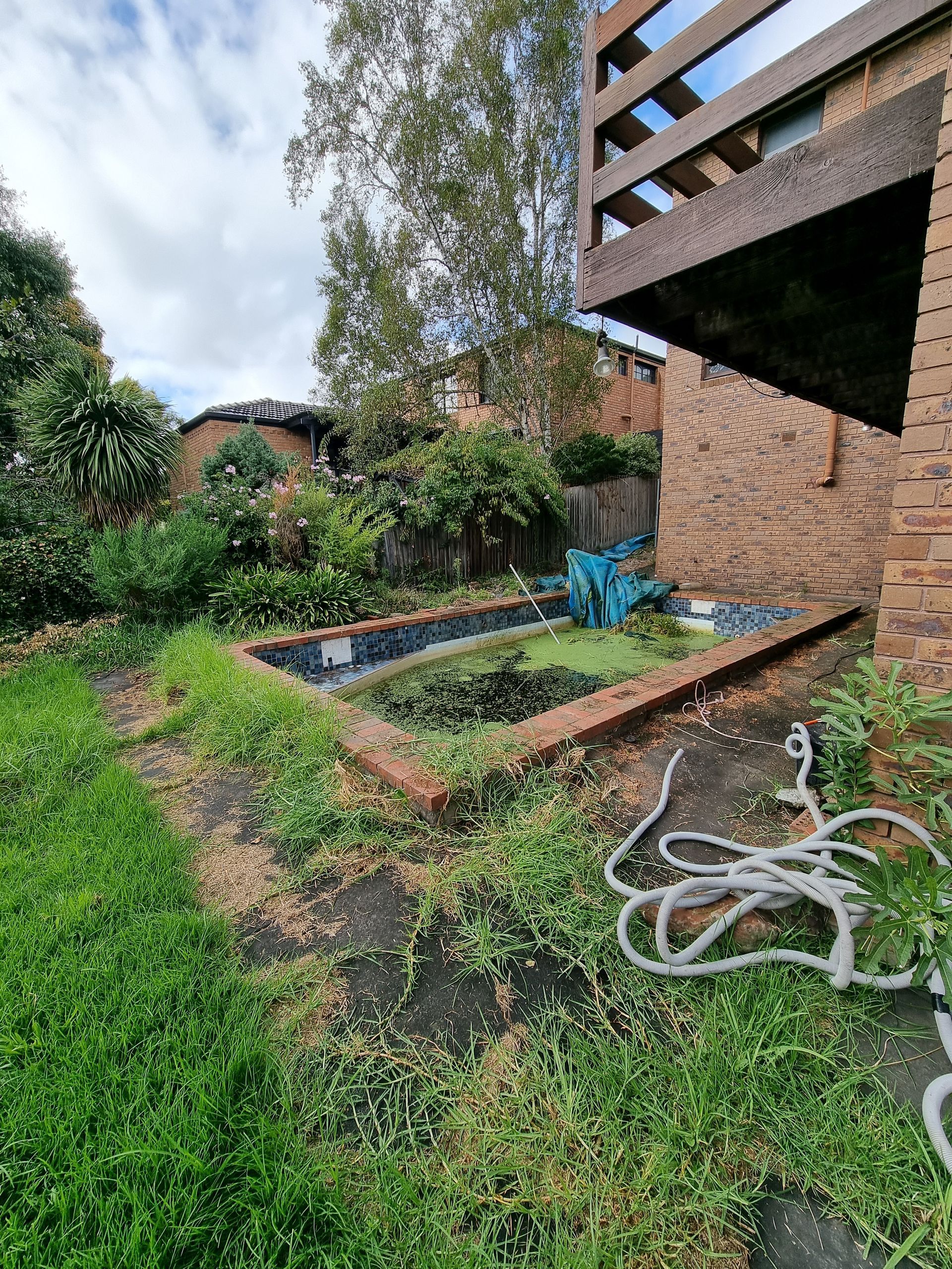 An Overgrown, Neglected Rectangular Garden Pond With a Brick Border — All Over Pool Removals in Beaumaris, VIC