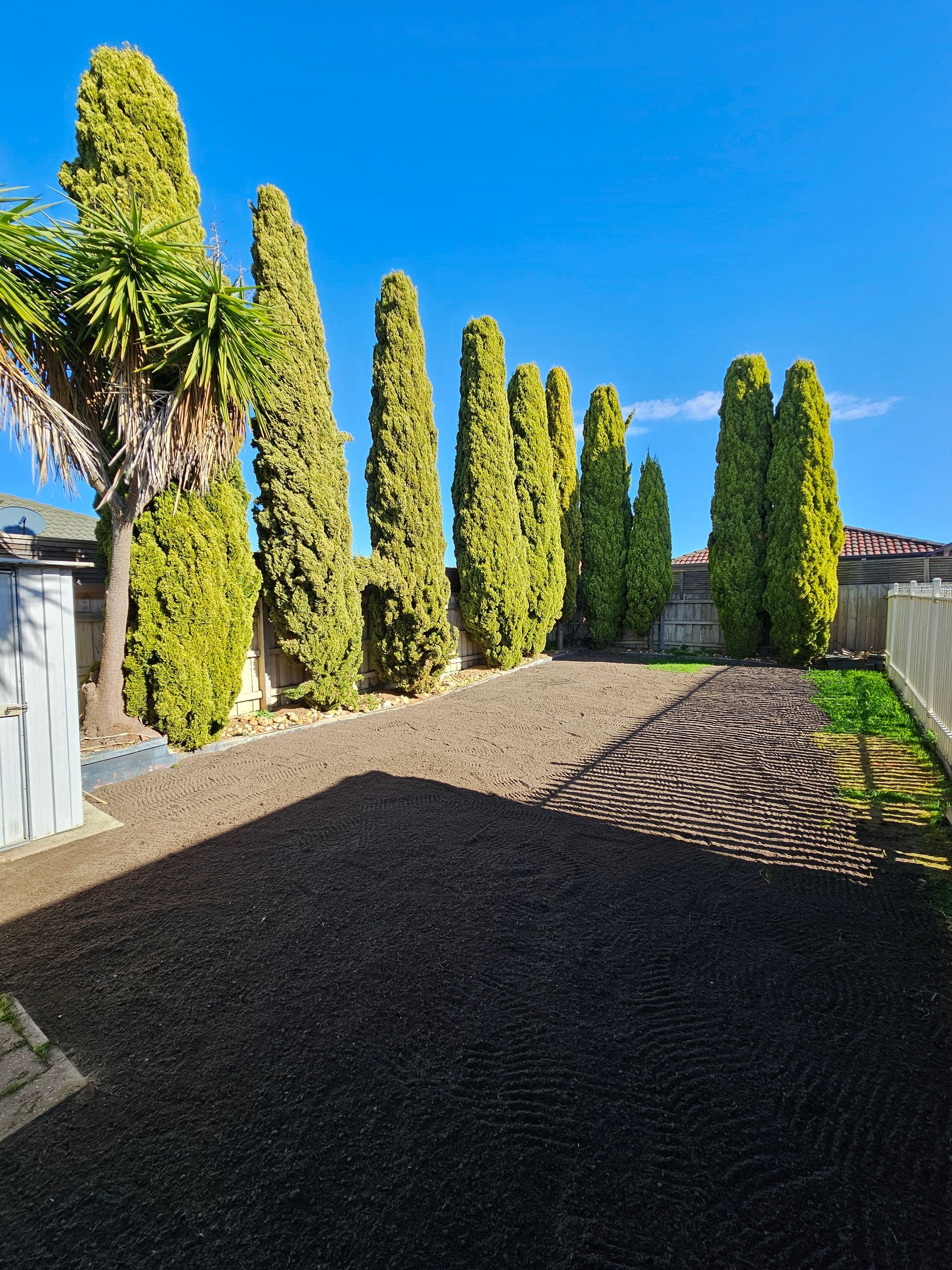 Sunlit Gravel Driveway Lined With Tall Cypress Trees and a Palm — All Over Pool Removals in Upwey, VIC