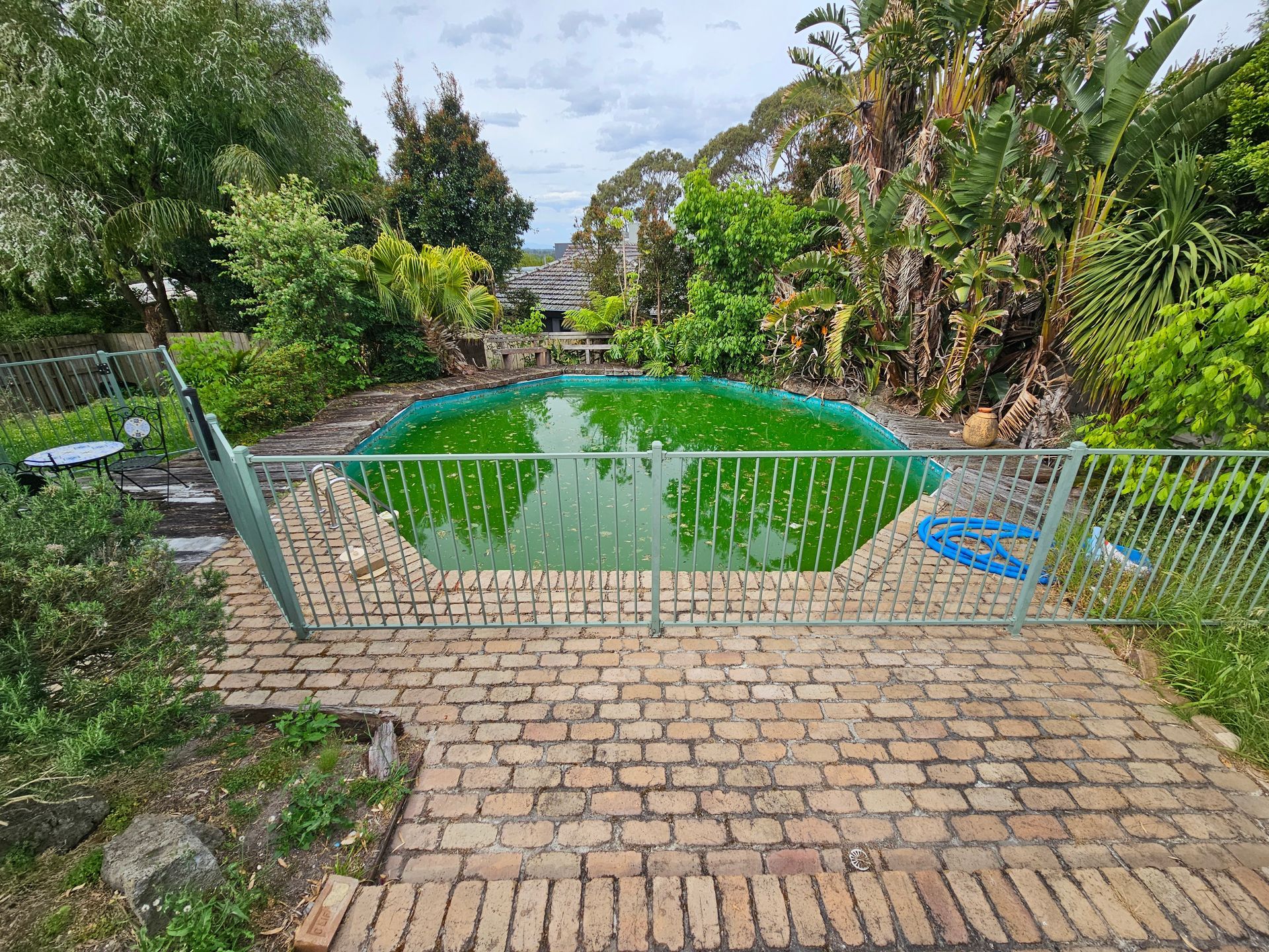 Backyard Garden With Small Green Pond, Brick Path — All Over Pool Removals in Upwey, VIC