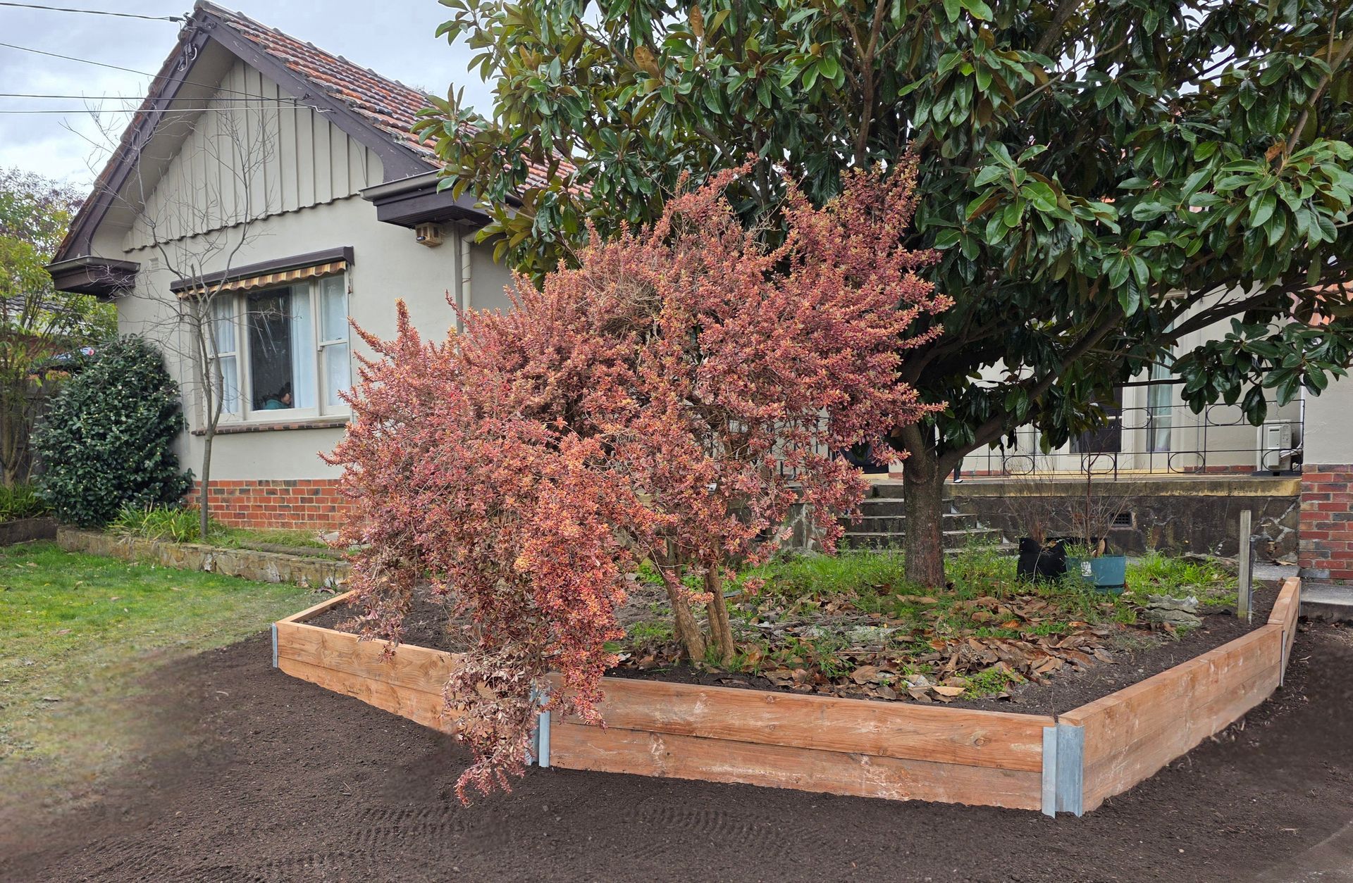Small Pink Ornamental Tree in a Raised Wooden Garden Bed — All Over Pool Removals in Narre Warren South, VIC