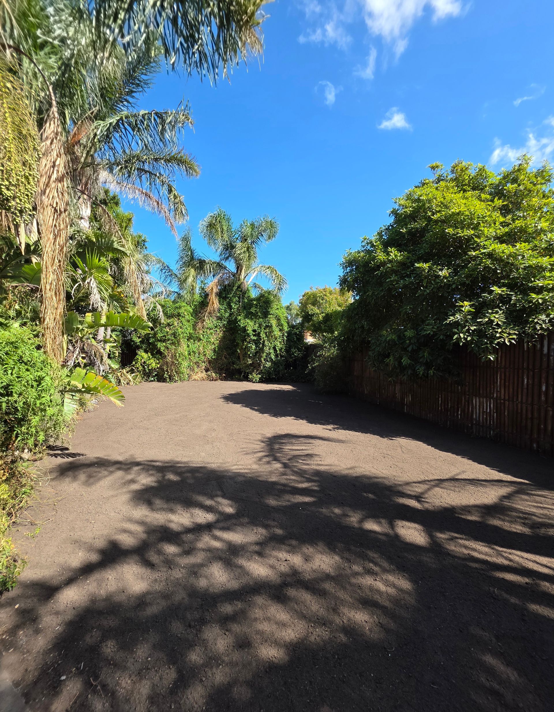 Sunlit Gravel Path Lined With Lush Trees and Bushes — All Over Pool Removals in Donvale, VIC