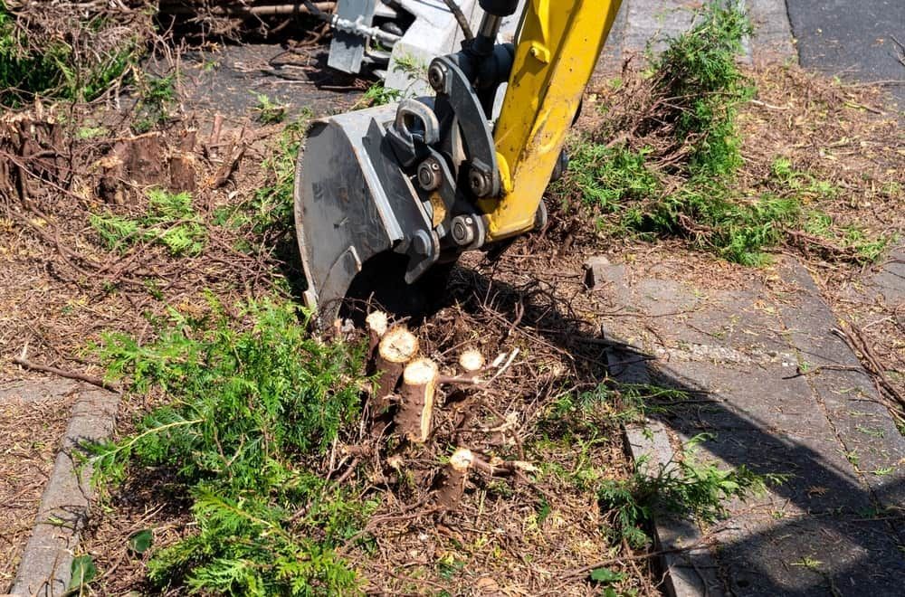 Mini Excavator Removing Tree Stumps Near a Sidewalk — All Over Pool Removals in Narre Warren South, VIC