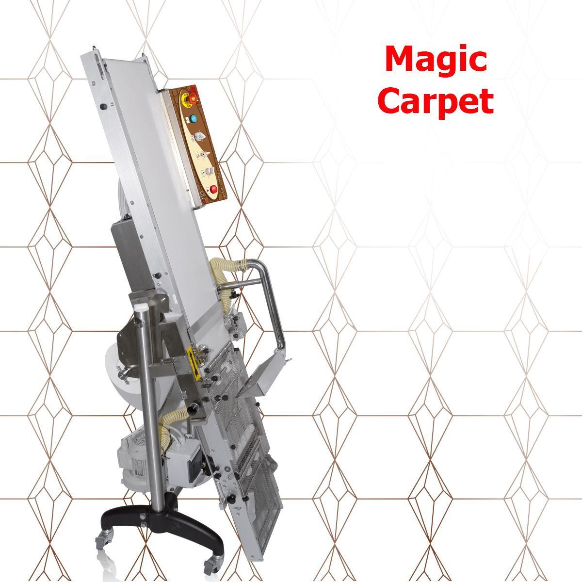 MAGIC CARPET