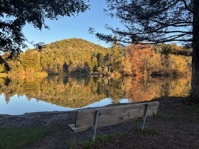 Bench overlooking a reflective lake with trees, sunlight, and a small mountain.