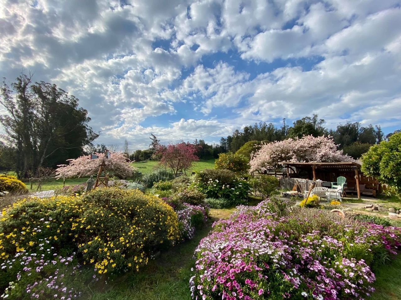 Flowering garden under a cloudy sky. Pink, yellow, and purple blooms with a rustic shelter.