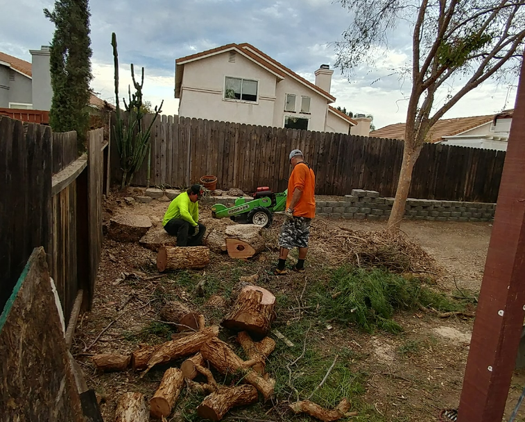 Armstrong Tree Service Top Rated Tree Service Murrieta, California