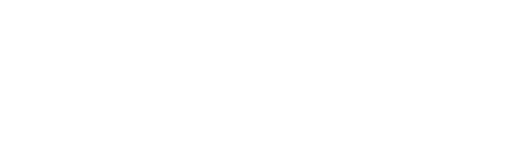 XPEL Logo