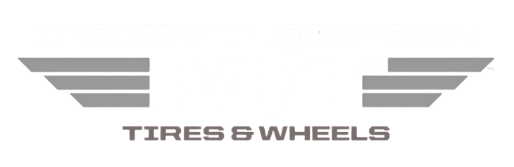 Logo with two stylized grey horizontal wing-like shapes flanking the words