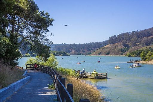 A path leading to a lake filled with boats and people.