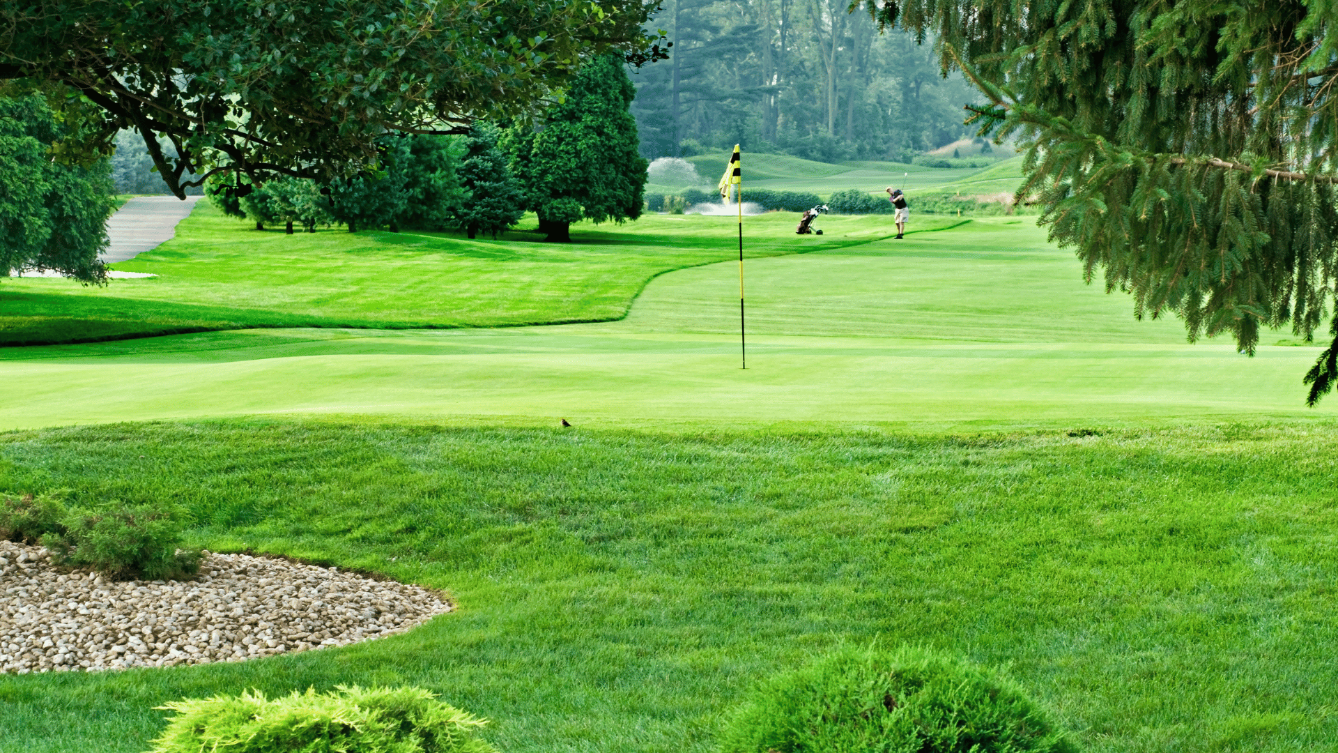 A couple of people are playing golf on a golf course.