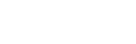 Light Logo