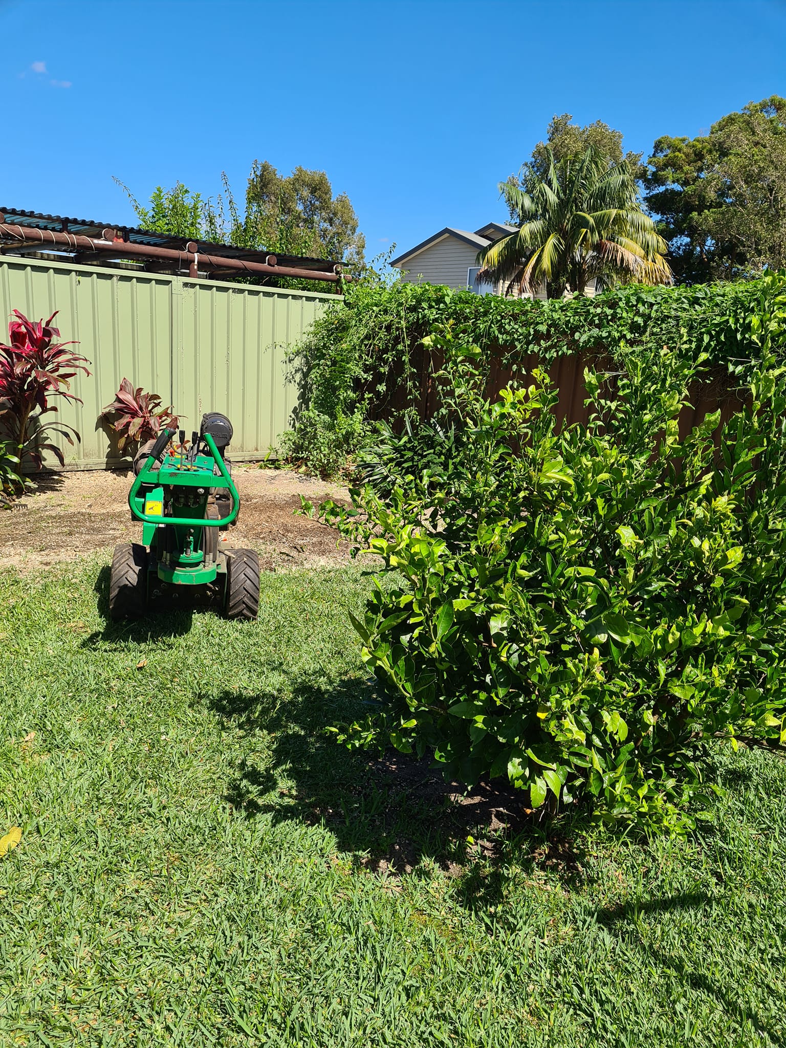 A Green Robot Lawnmower on Grass, in a Backyard — Lawn Care in Umina Beach, NSW