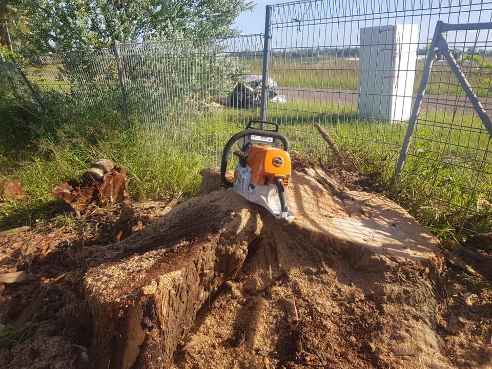 Chainsaw Resting on a Tree Stump — Lawn Care in Umina Beach, NSW