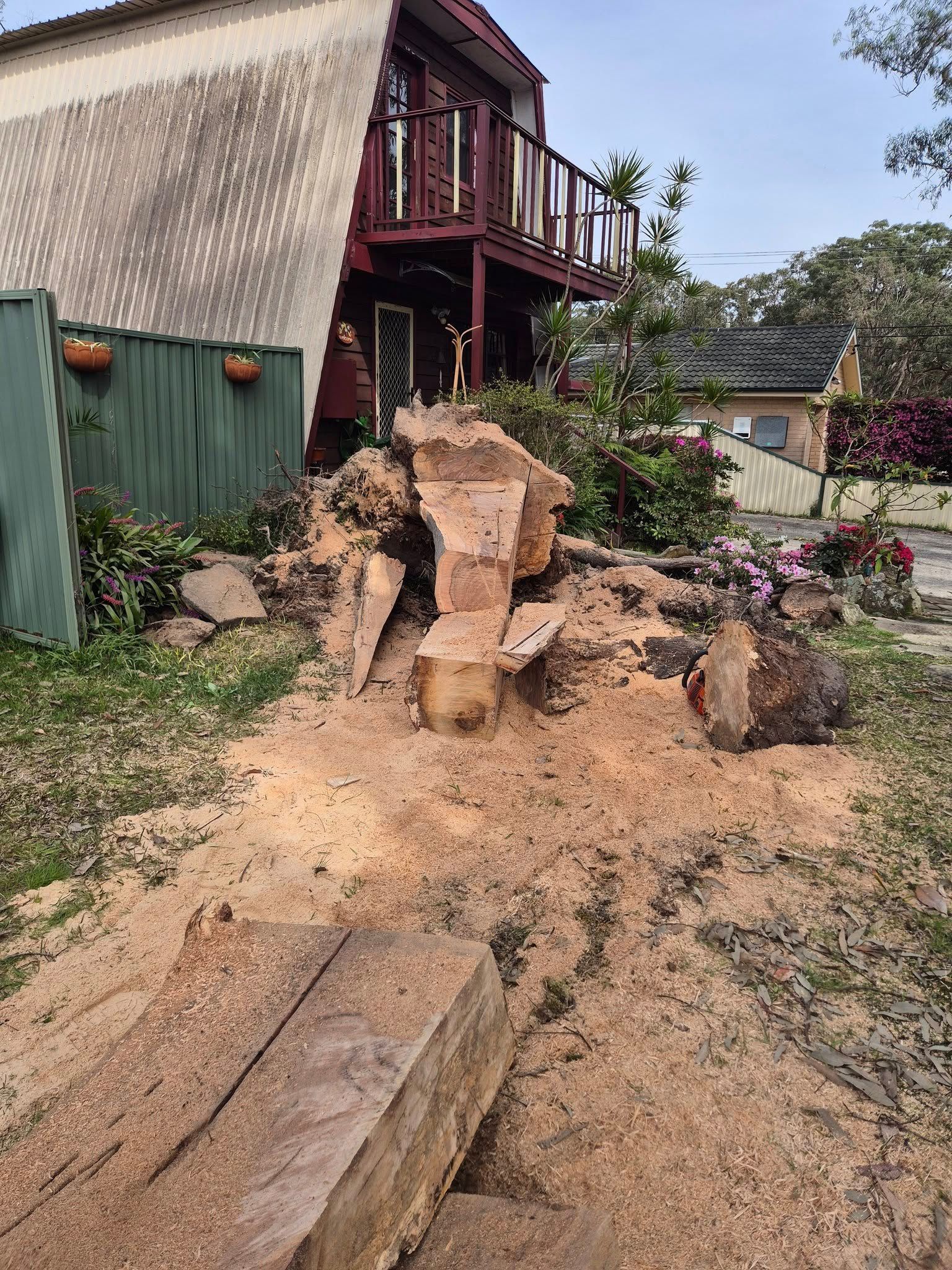Central coast Stump Removal
