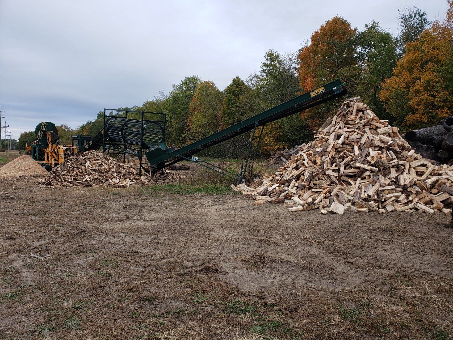 Empty Lot with Tree Logs — West Middleton, IN — Rice Tree Company Inc.