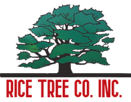 Rice Tree Company Inc.	