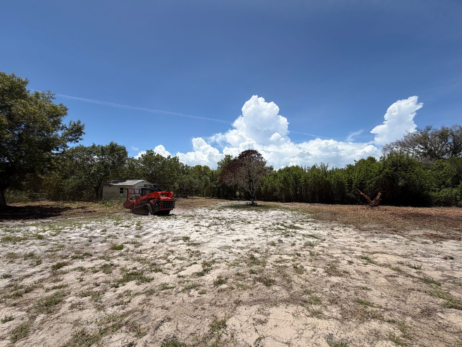 Red tractor on a sandy clearing under a bright blue sky with scattered clouds, bordered by trees