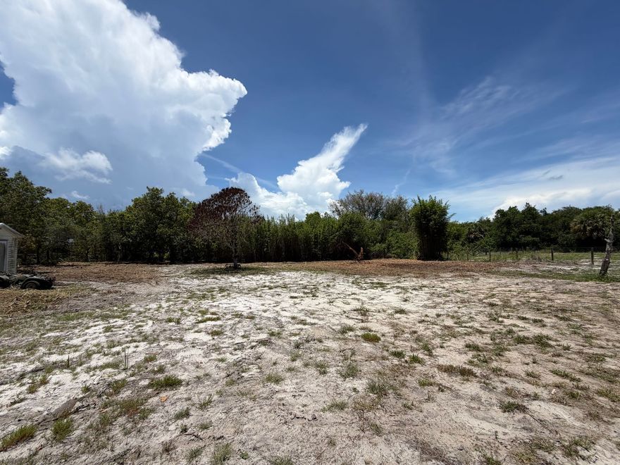 Sandy open field with dense green trees under a bright blue sky and large white clouds