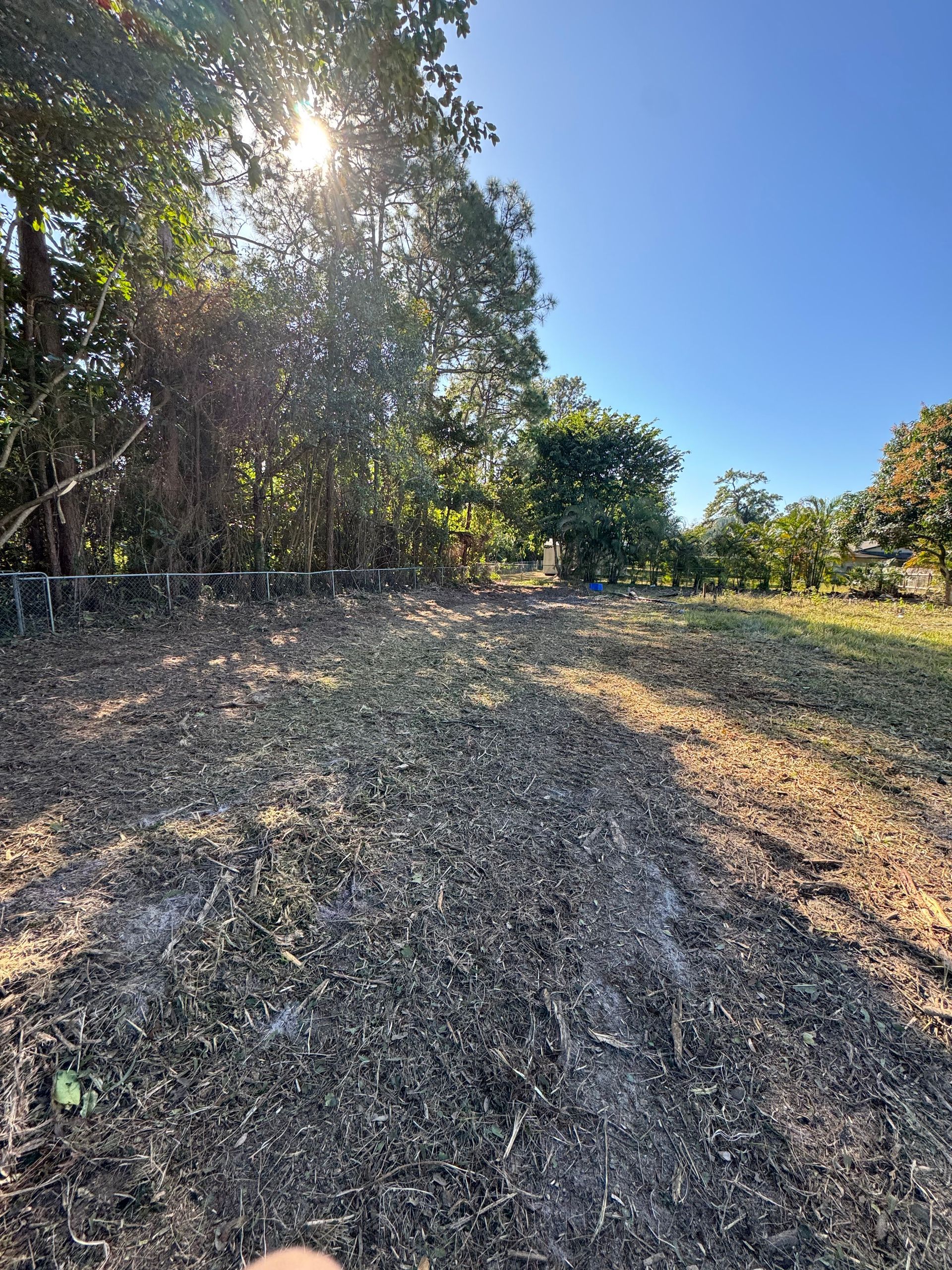 Sunlit gravel path beside trees and dry grass under a clear blue sky