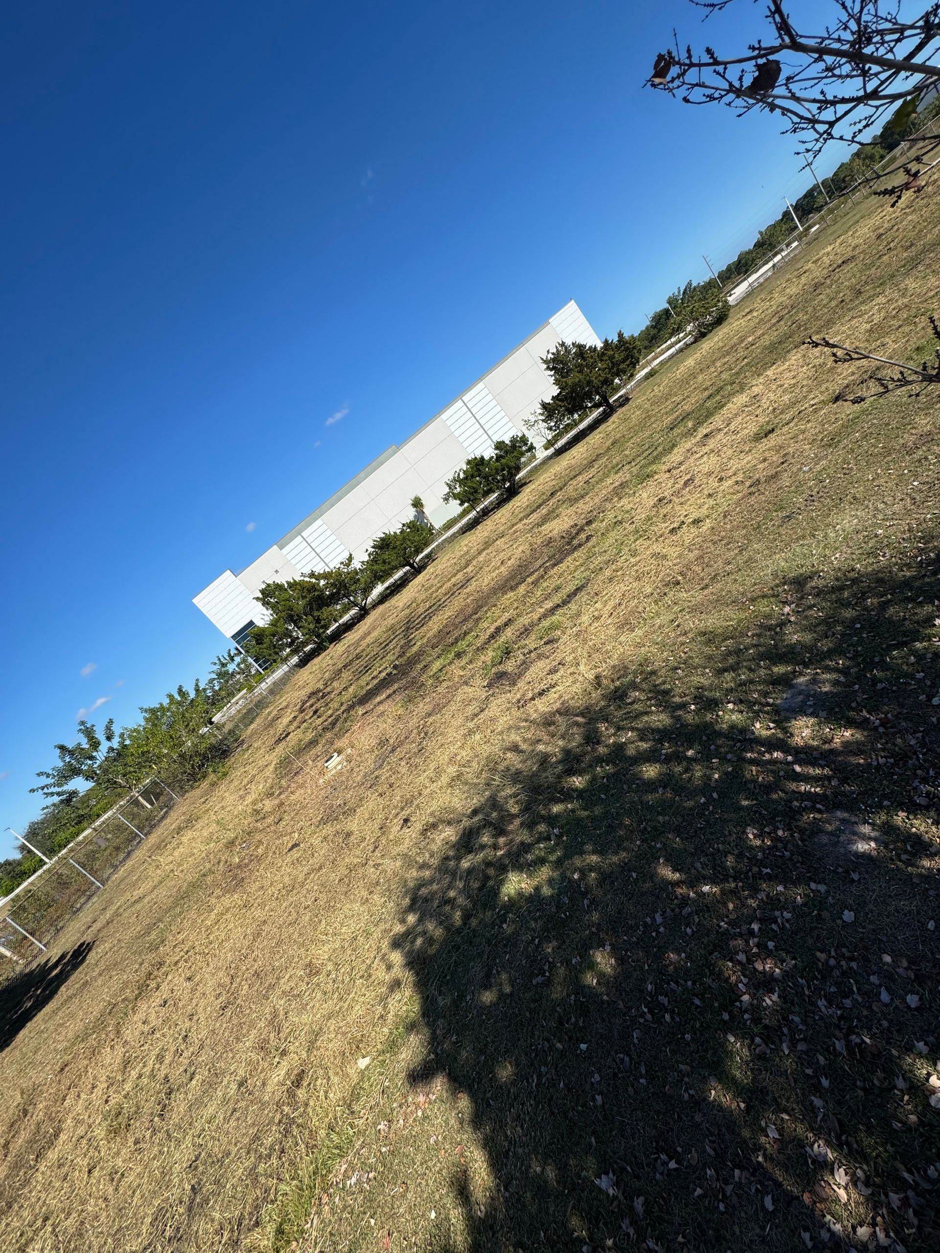Tilted view of a grassy field under a clear blue sky beside a white building and trees
