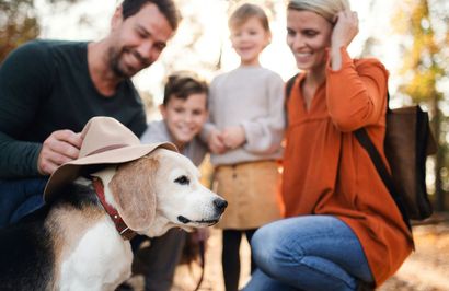 A family is sitting next to a dog wearing a cowboy hat.