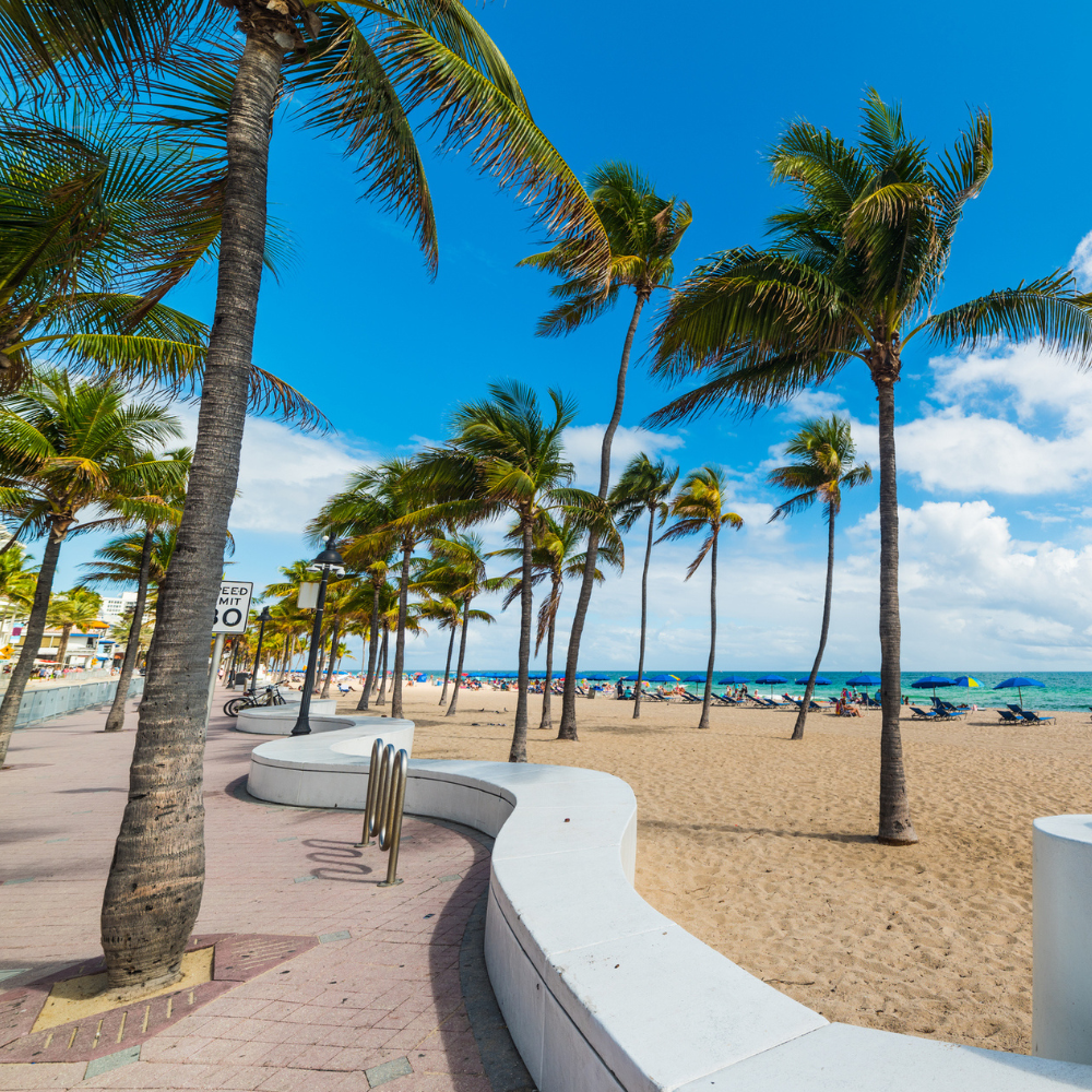 Palm trees on a sandy beach under a blue sky. People are on the beach and a white curved wall.