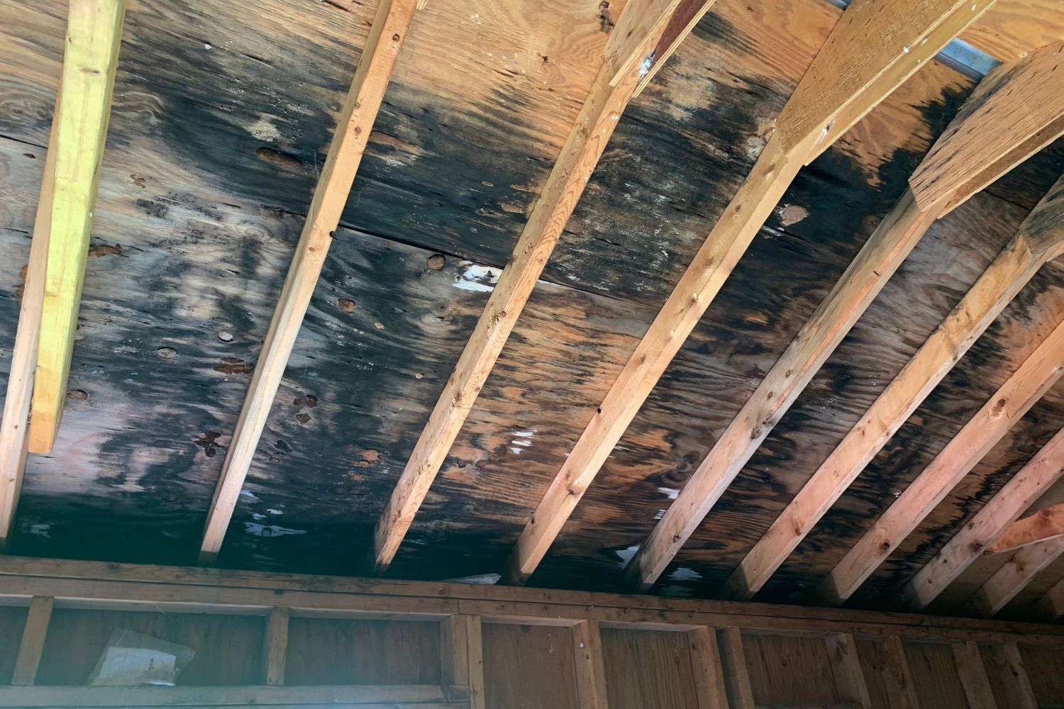 wall insulation