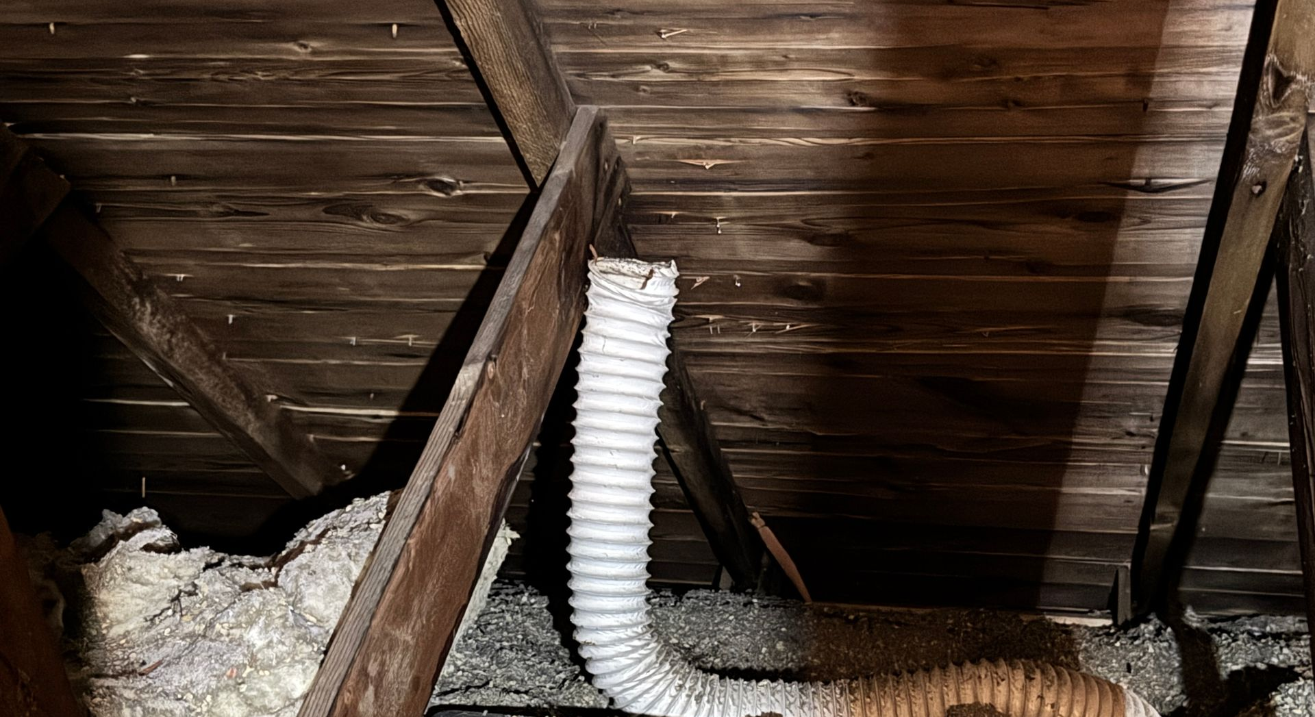 Attic with bathroom fan duct and damaged insulation
