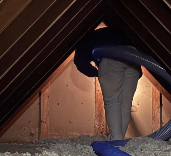 Wildfire Smoke Insulation Removal