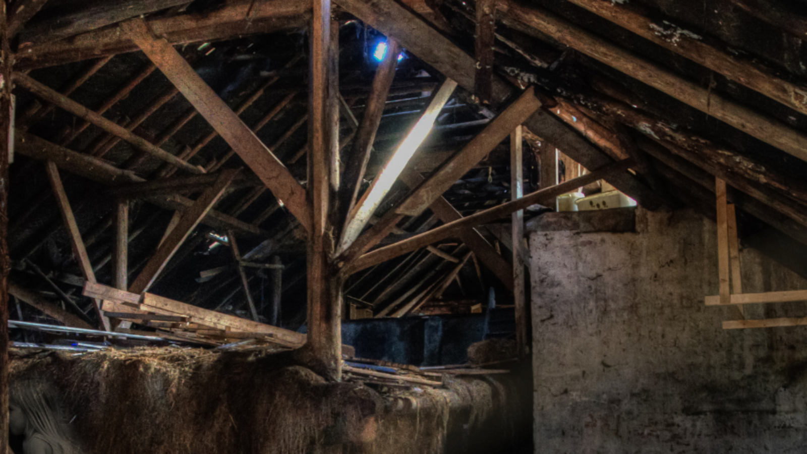 Spokane Attic Mold Removal