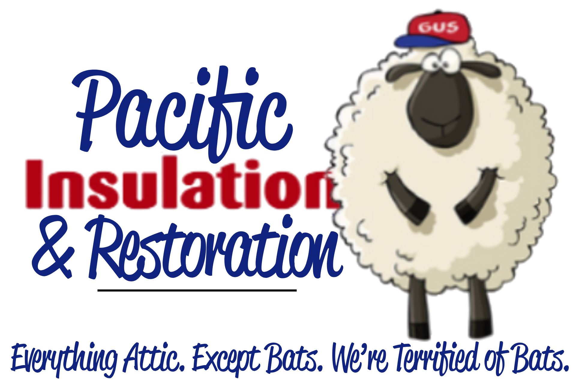 Pacific Insulation & Mold Remediation logo
