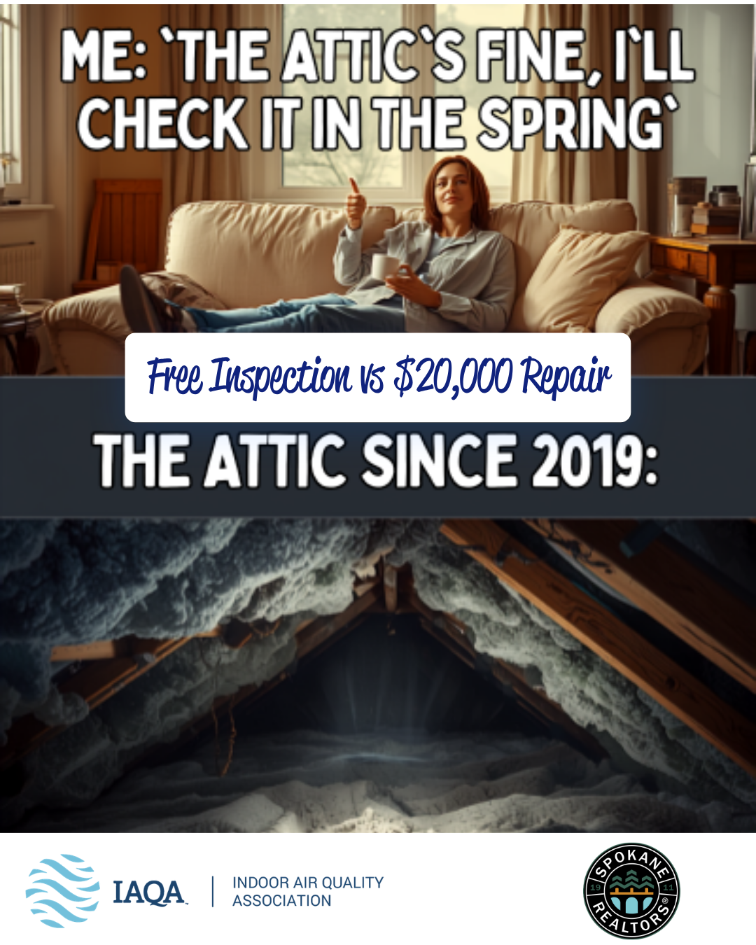 moldy insulation in attic