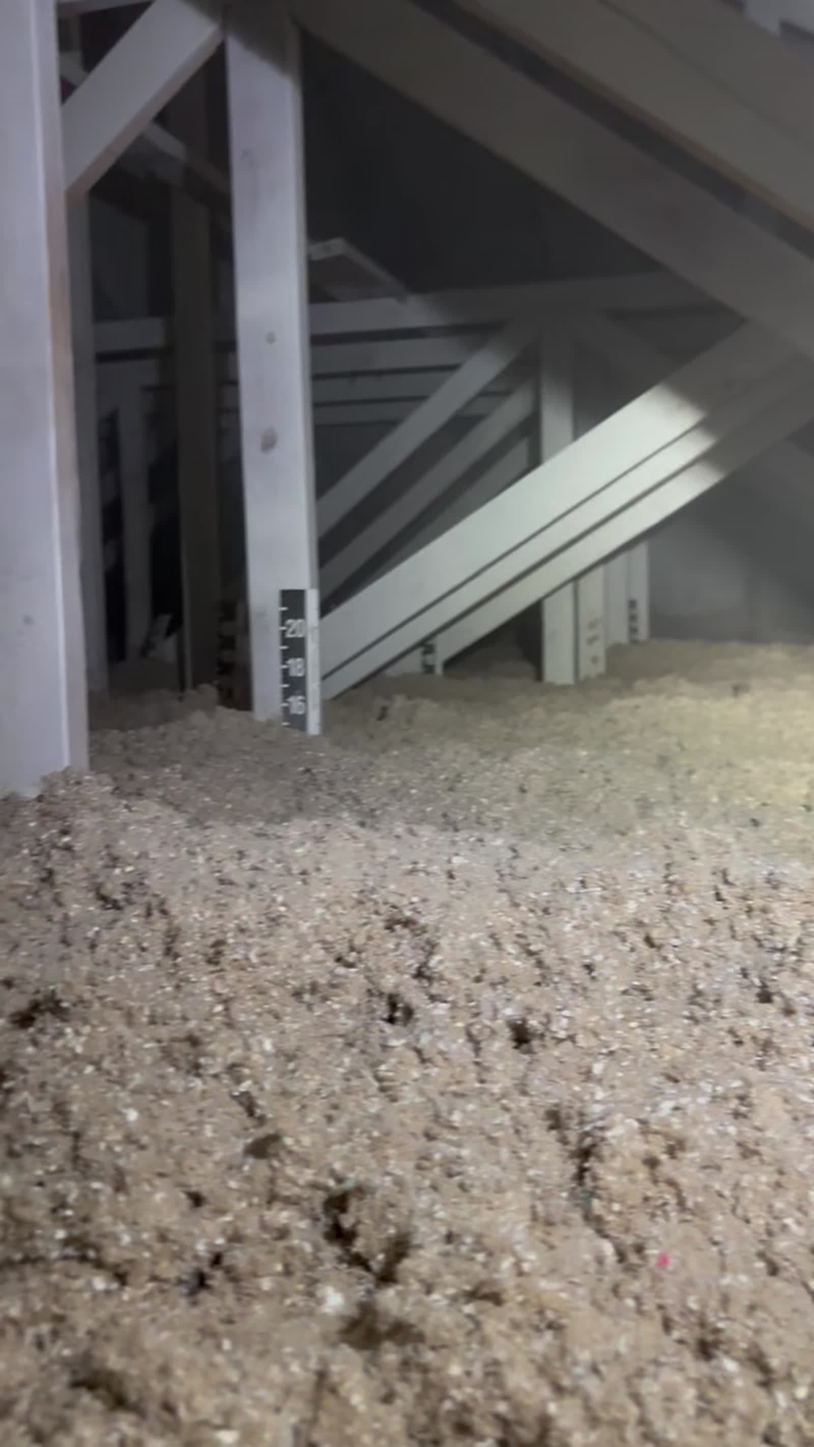 Fresh blown-in cellulose insulation with an attic depth ruler showing the finished R-value